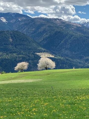 Hotel Alla Rocca Varena Buitenkant foto